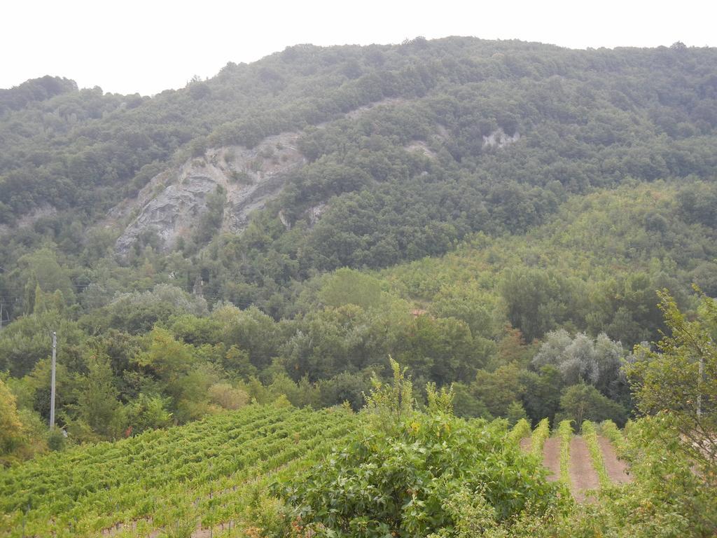 La Colombarola Agriturismo Villa Farneto Dış mekan fotoğraf