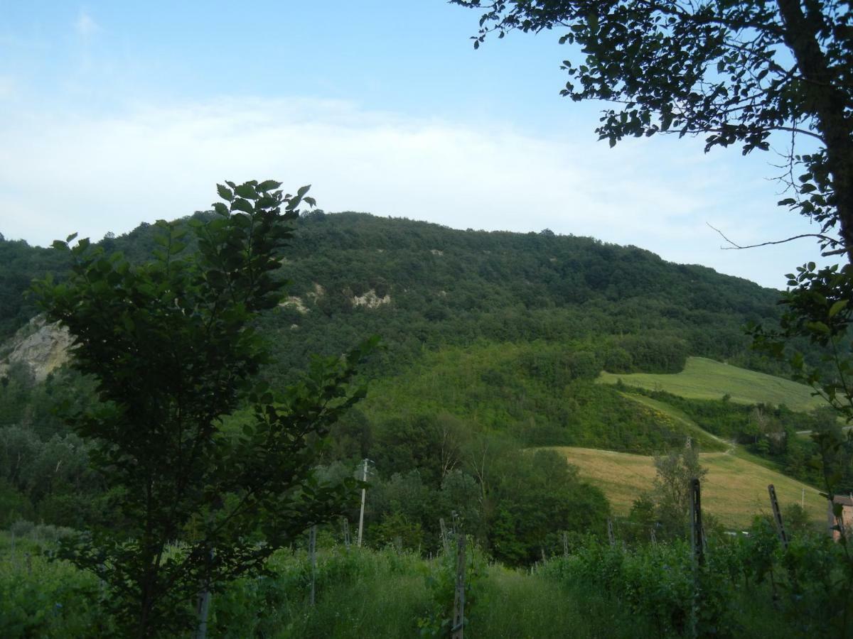 La Colombarola Agriturismo Villa Farneto Dış mekan fotoğraf