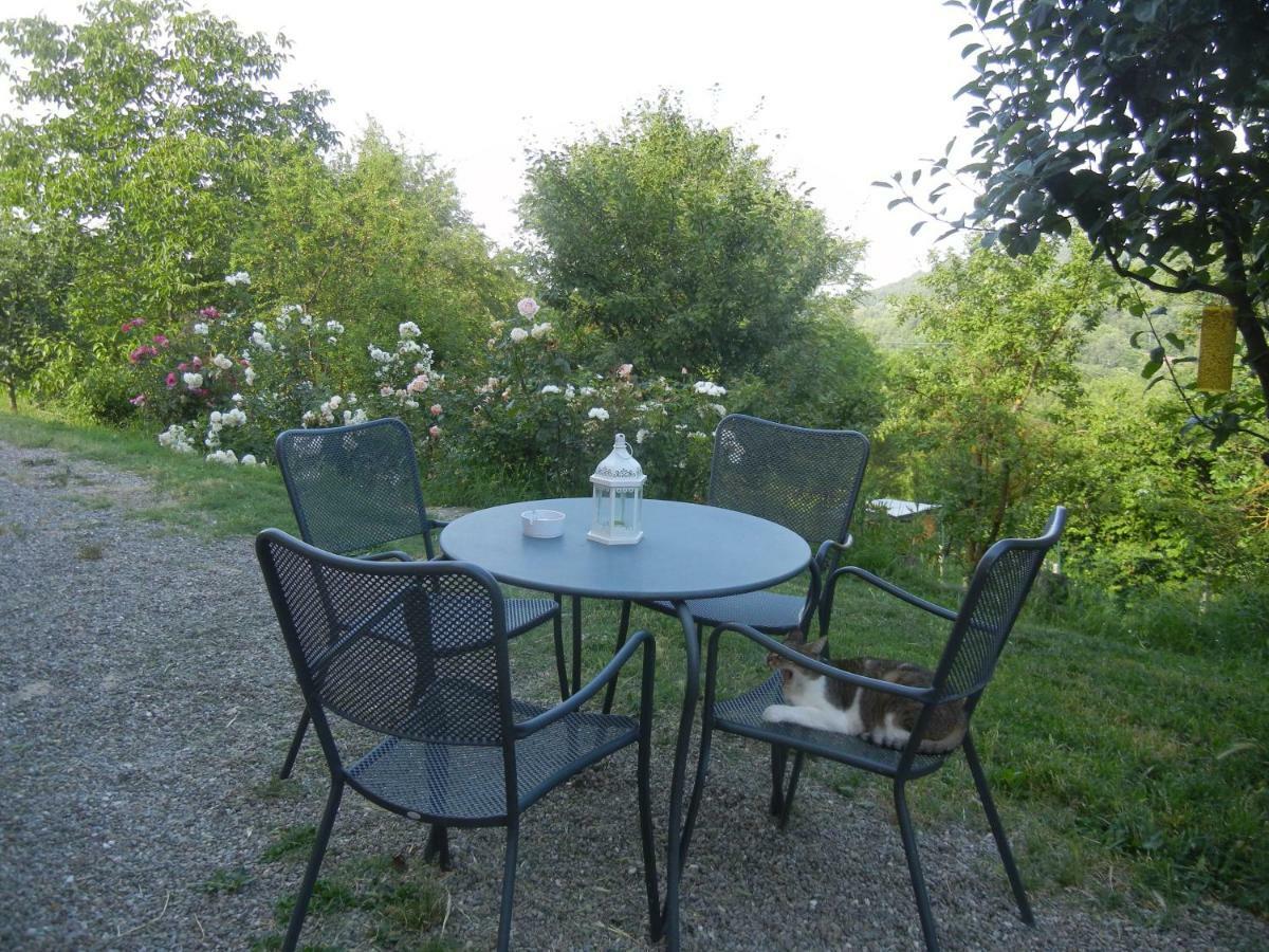 La Colombarola Agriturismo Farneto Dış mekan fotoğraf