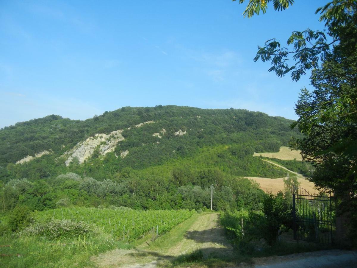 La Colombarola Agriturismo Villa Farneto Dış mekan fotoğraf